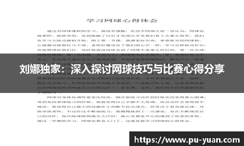 刘娜独家：深入探讨网球技巧与比赛心得分享